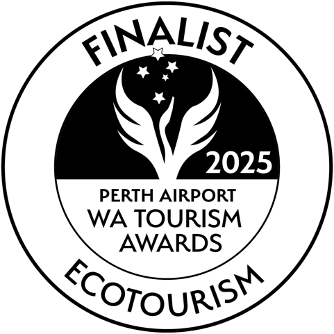 Finals Golden Guide Award