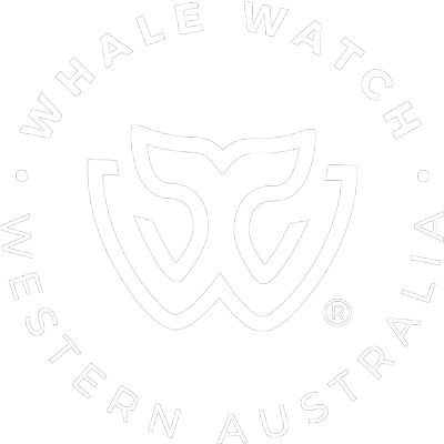 whale watching tours wa